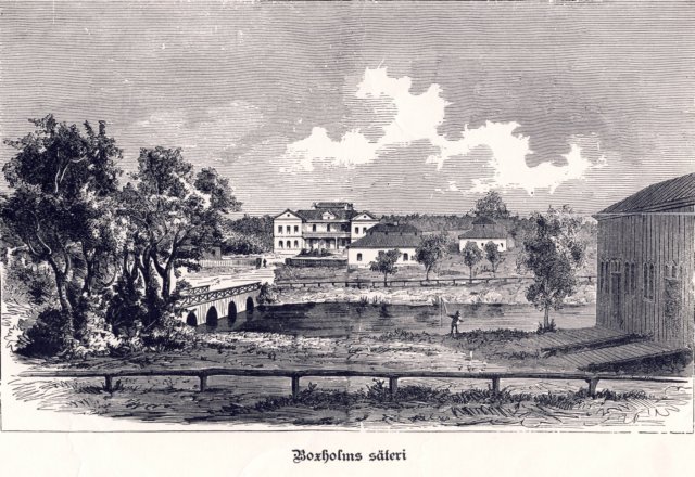 boxholmssteri.jpg
