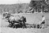 kruslundhrboddealdnelismedhst1950_small.jpg