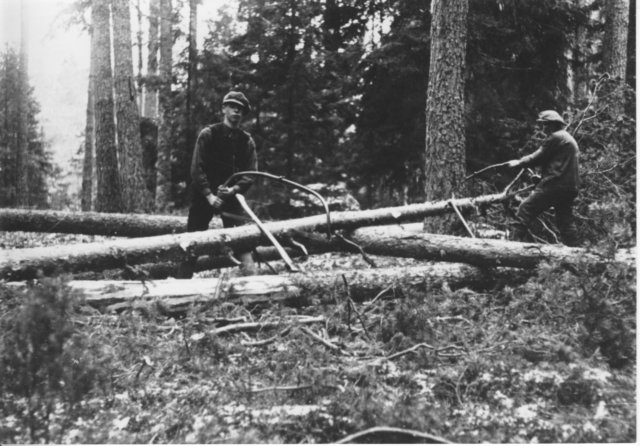 skogsarbetare.jpg