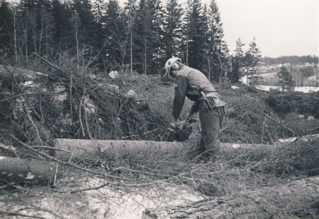 skogsarbetare2.jpg