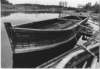 vidlaxbergapril19724_small.jpg