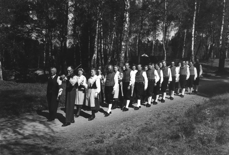 _folkdanslagi2.jpg